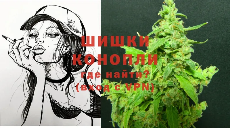 Каннабис OG Kush  Красноармейск 